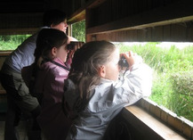 SITE ORNITHOLOGIQUE - La Selle-Craonnaise