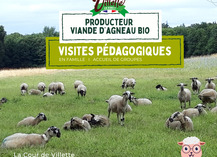 FERME PÉDAGOGIQUE - VILLETTE EN DIRECT - Gennes-Longuefuye
