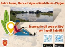 PARCOURS BALUDIK : ENTRE FAUNE, FLORE ET VIGNE À ST-DENIS-D'ANJOU - Saint-Denis-d'Anjou