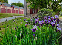 Gîte de l'Orangerie du Château - Craon