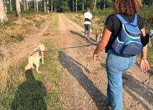 Formule cani randonnée d’une journée - Cani-tout tout - Le Bignon-du-Maine