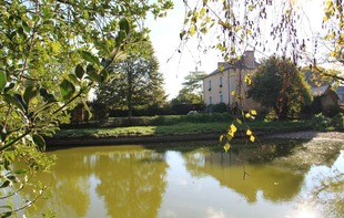 GITE LA THUALLIÈRE - Cossé-le-Vivien