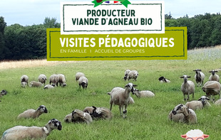 FERME PÉDAGOGIQUE - VILLETTE EN DIRECT - Gennes-Longuefuye