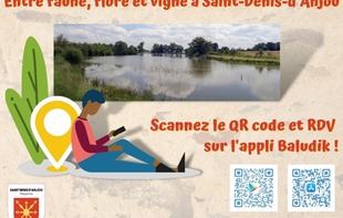 PARCOURS BALUDIK : ENTRE FAUNE, FLORE ET VIGNE À ST-DENIS-D'ANJOU - Saint-Denis-d'Anjou