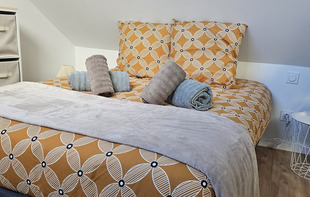 Studio le P'tit Nid - Château-Gontier-sur-Mayenne