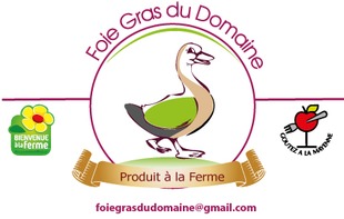 GAEC DU DOMAINE - Marigné-Peuton