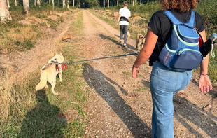 Raid de 2 jours  - Cani-tout tout - Le Bignon-du-Maine