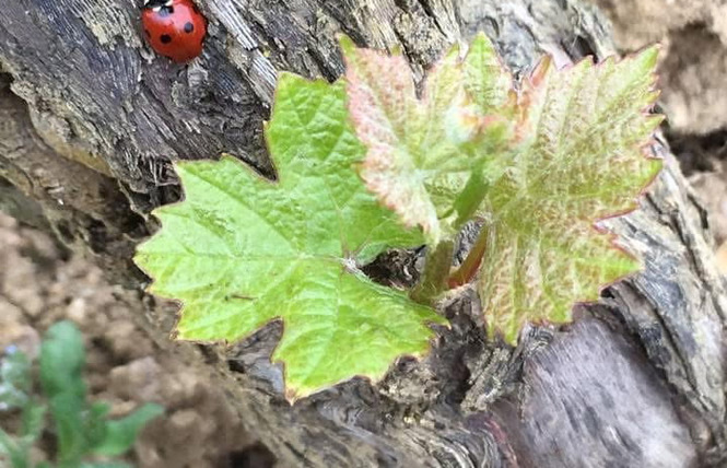 RDV du Printemps : Atelier 