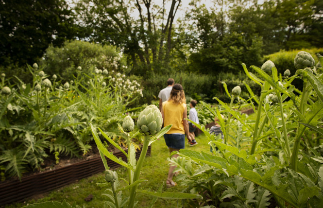Rendez-vous aux Jardins - Visite des jardins du Manoir de Favry 1 - Préaux