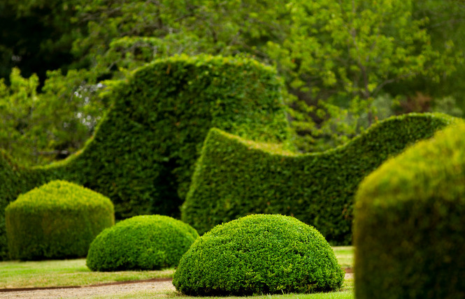 5èmes Journées Mondiales de l'Art Topiaire - Manoir de Favry 3 - Préaux