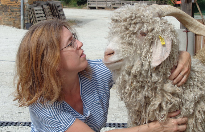 Industrielle Attitude : Mohair du Maine 1 - La Bazouge-de-Chemeré