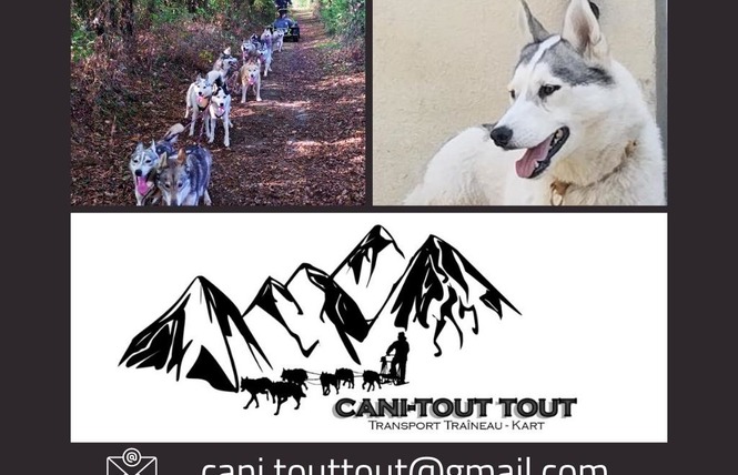 CANI-TOUT TOUT 2 - Le Bignon-du-Maine