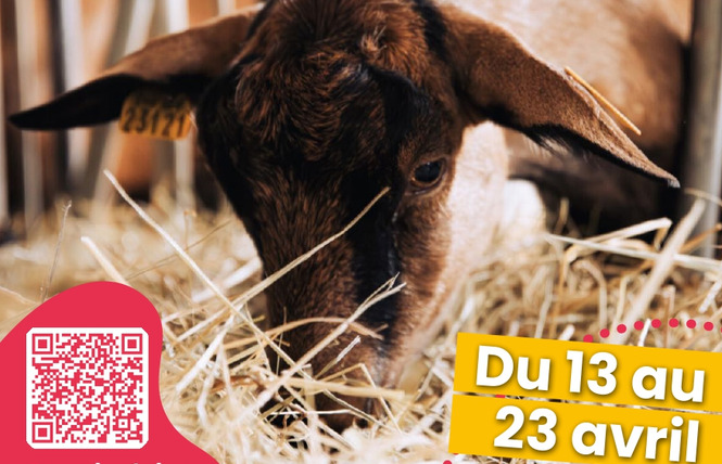 RDV du Printemps : Atelier 