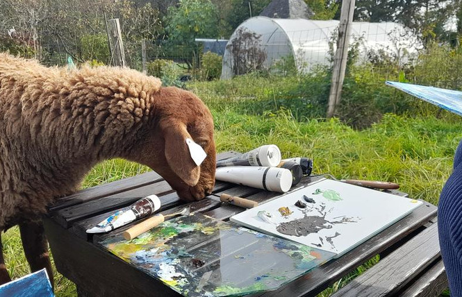 RDV du Printemps : Atelier 