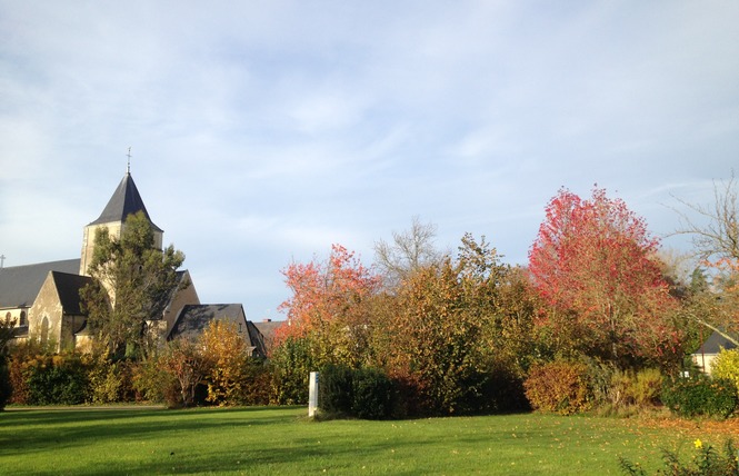 CAMPING MUNICIPAL DU BAC 9 - Ménil