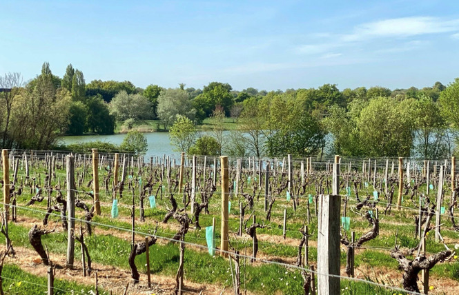 Gîte la Pierre du Bonheur de 2 à 8 personnes 15 - Saint-Denis-d'Anjou