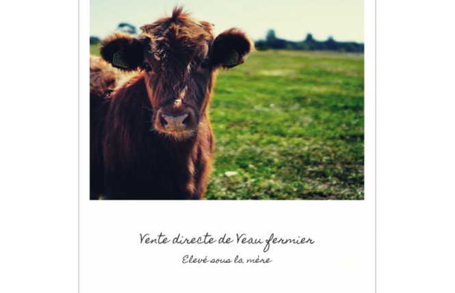 LA PRÉHOUILLIÈRE : VIANDE DE BOEUF 2 - Bouère