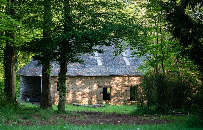 Gîte le Pigeonnier du Château de Craon 13 - Craon