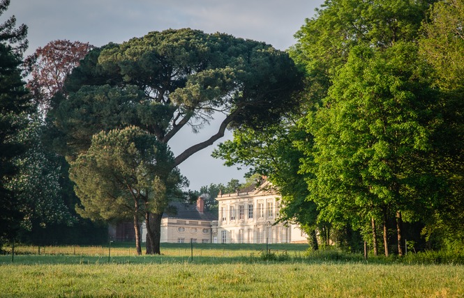 Gîte le Pigeonnier du Château de Craon 11 - Craon