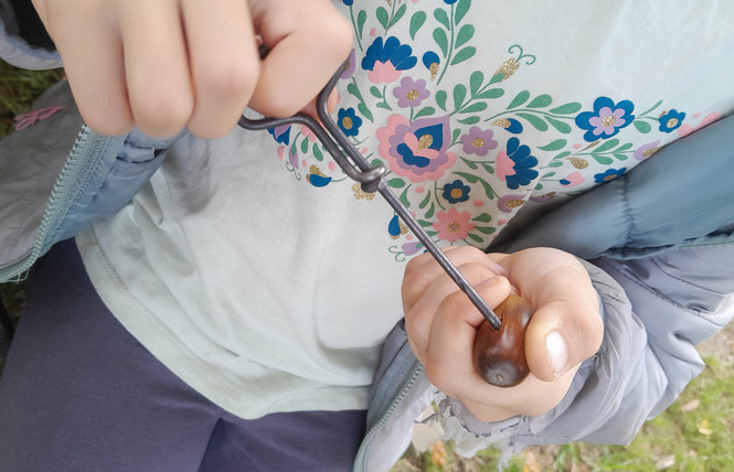 Benedicta Paysanne Fleuriste 3 - Maisoncelles-du-Maine