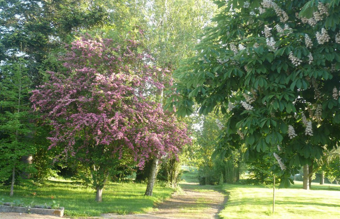 LA THUALLIÈRE 26 - Cossé-le-Vivien