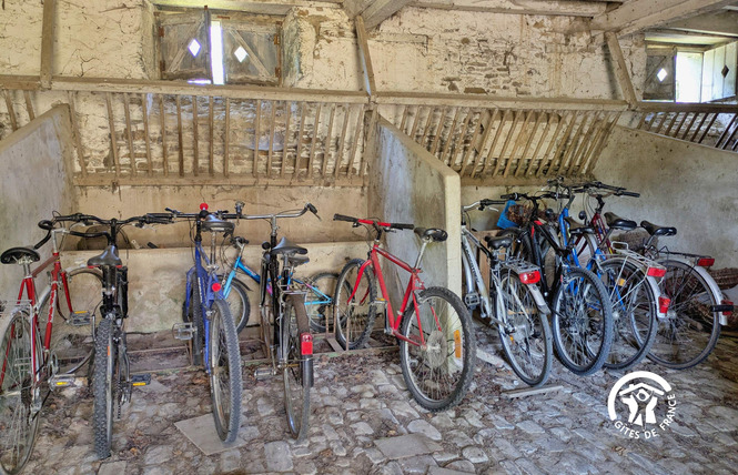 LA THUALLIÈRE 46 - Cossé-le-Vivien