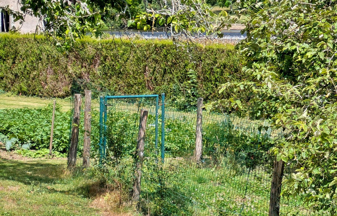 LA ROCHE, JUSQU'À 4 PERSONNES 29 - La Roche-Neuville