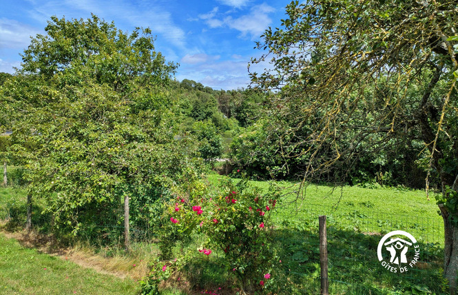 LA ROCHE, JUSQU'À 4 PERSONNES 6 - La Roche-Neuville