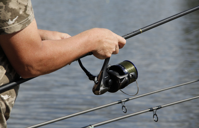 CHALET LE BLACK BASS, 5-7 PERS. EN RETRAIT 3 - Villiers-Charlemagne