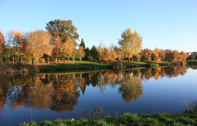CHALET LA TANCHE, LES PIEDS DANS L'EAU, 5-7 PERS 35 - Villiers-Charlemagne