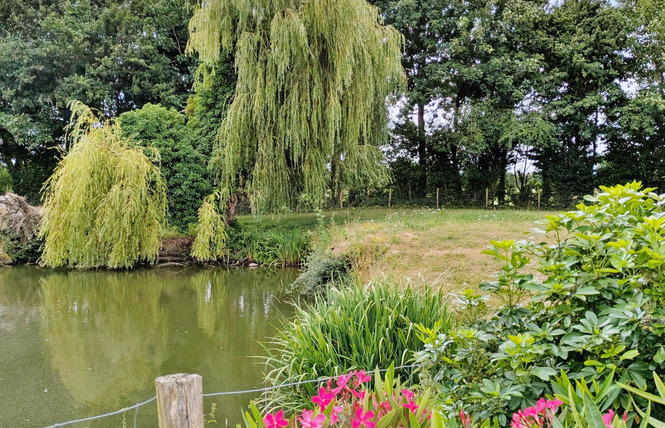 LA ROSE TRÉMIÈRE, 6 PERSONNES 6 - Cossé-le-Vivien