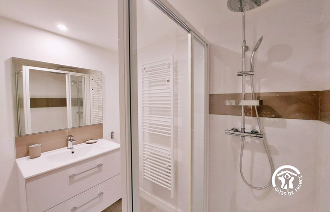 LES DEUX PUITS, JUSQU'À 11 PERSONNES 40 - Saint-Poix