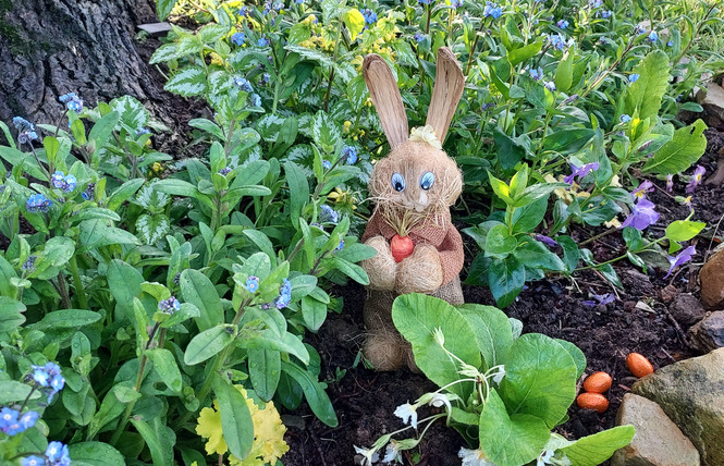 CHEZ AUGUSTE 46 - Saint-Erblon