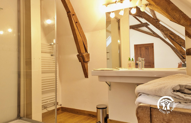 LE CLOS SAINT DOMINIQUE, JUSQU'À 12 PERS 45 - Chémeré-le-Roi