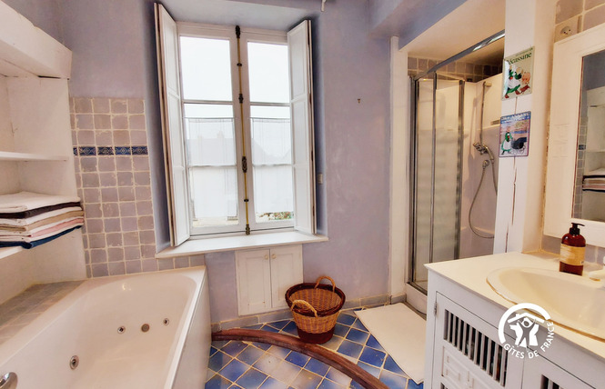 LE CLOS SAINT DOMINIQUE, JUSQU'À 12 PERS 32 - Chémeré-le-Roi