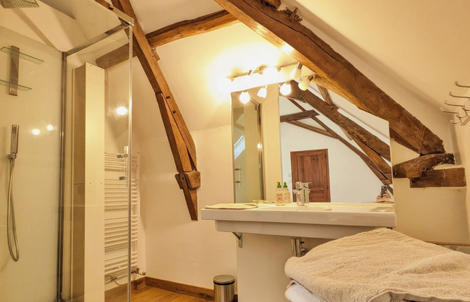 LE CLOS SAINT DOMINIQUE, JUSQU'À 12 PERS 44 - Chémeré-le-Roi