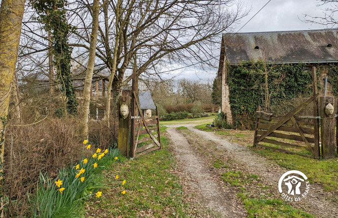GÎTE DE LA RENAUMIÈRE, JUSQU'À 11 PERS 42 - Gennes-Longuefuye
