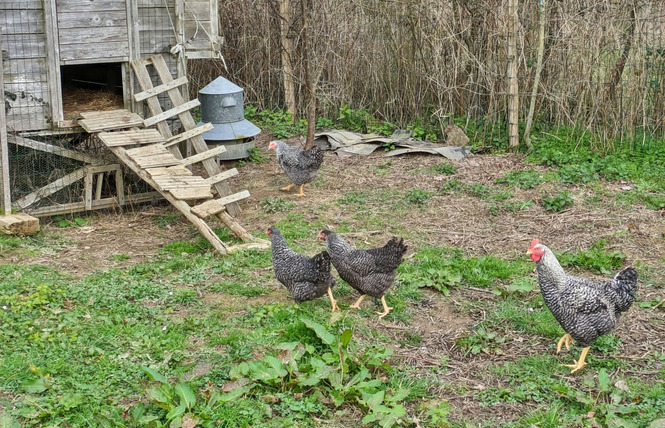 GÎTE DE LA RENAUMIÈRE, JUSQU'À 11 PERS 44 - Gennes-Longuefuye