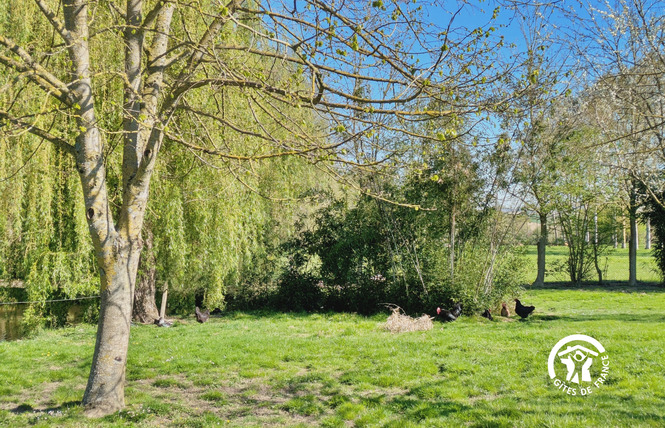 GÎTE DU HÉRISSON, 6 PERSONNES 41 - Saint-Michel-de-la-Roë