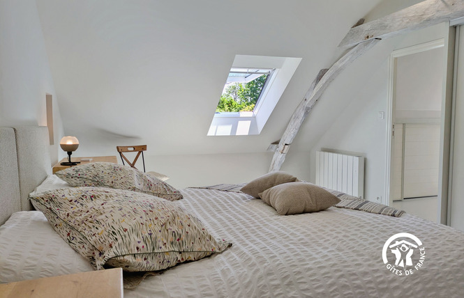 LE GÎTE DES BERGERS, JUSQU'À 9 PERSONNES 43 - La Bazouge-de-Chemeré