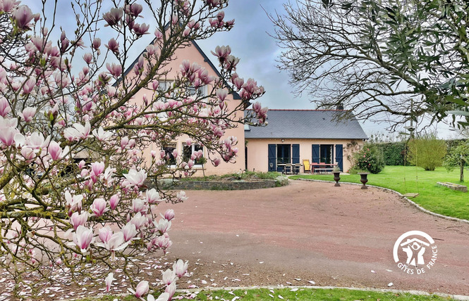 DOMAINE DES MAZURES, 17 PERSONNES 8 - Niafles