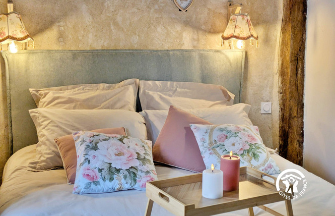 LA PIERRE DU BONHEUR, GÎTE 8 PERSONNES 37 - Saint-Denis-d'Anjou