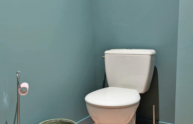 L'ORANGERIE DU TERTRE, 8 PERSONNES 36 - Mée