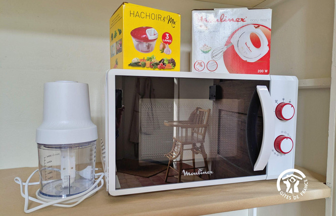 L'ORANGERIE DU TERTRE, 8 PERSONNES 15 - Mée