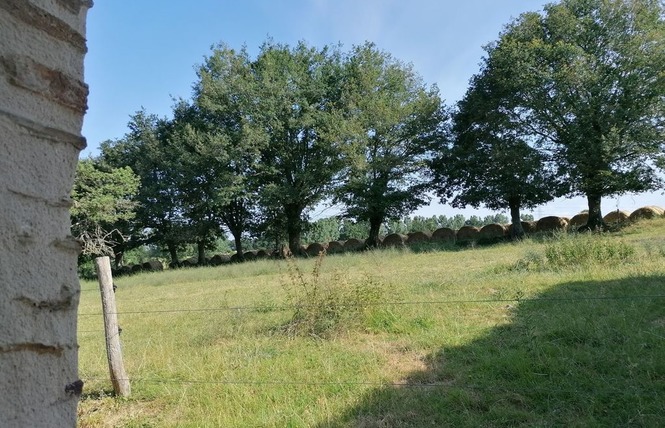 GÎTE DU PETIT LÉVARÉ 16 - Cossé-le-Vivien