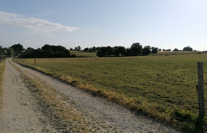 GÎTE DU PETIT LÉVARÉ 13 - Cossé-le-Vivien