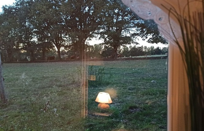 GÎTE DU PETIT LÉVARÉ 5 - Cossé-le-Vivien