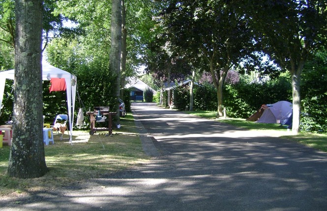 Camping du Mûrier 2 - Craon