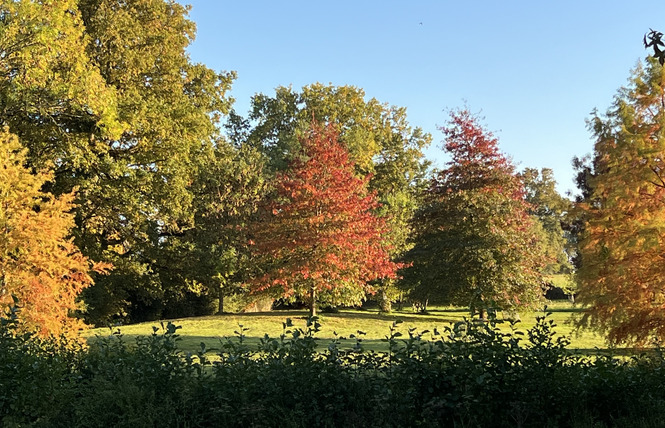 Jardins du Château des Arcis 22 - Meslay-du-Maine