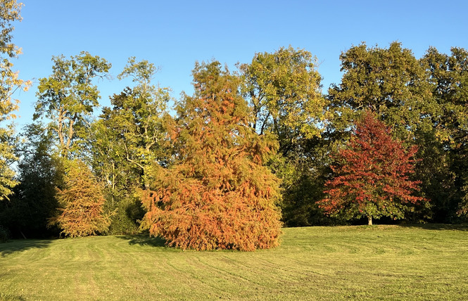Jardins du Château des Arcis 23 - Meslay-du-Maine